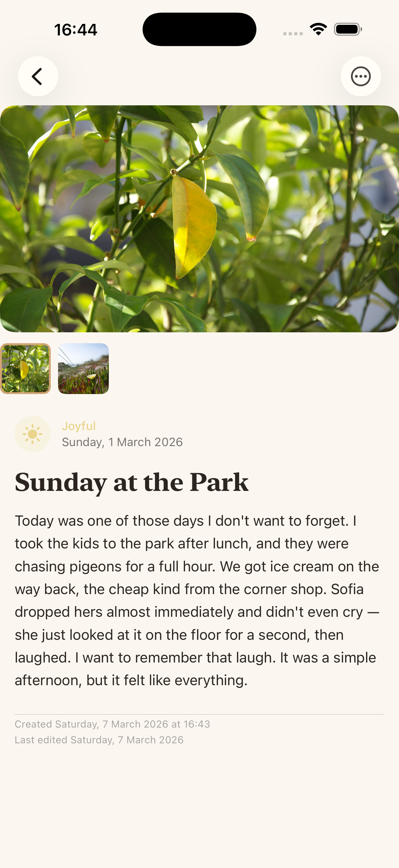 Memory detail view with photos and text